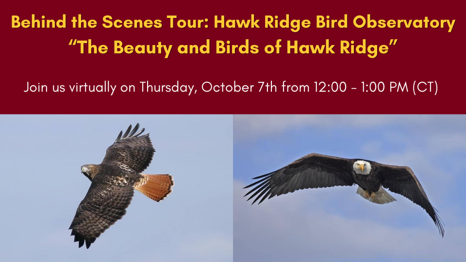 Behind the Scenes Tour: Hawks Ridge