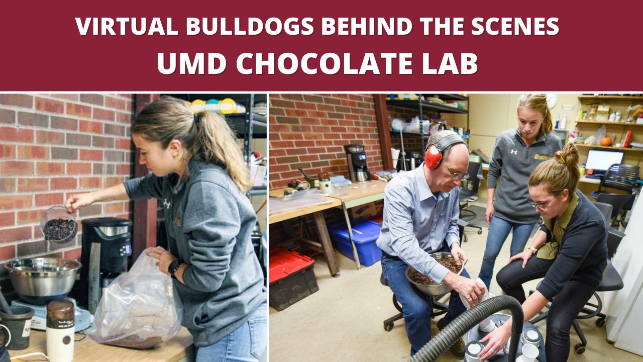 UMD Chocolate Lab